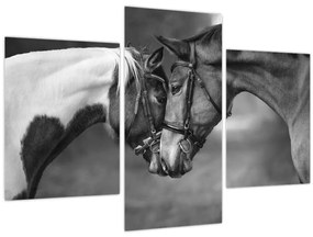 Obraz - Zamilované kone, čiernobiela (90x60 cm)