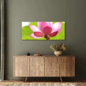 Obraz kvetu Lotusu (120x50 cm)