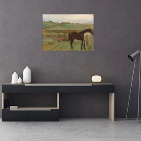 Obraz - Edgar Degas, Horses in a Meadow, reprodukcia (70x50 cm)