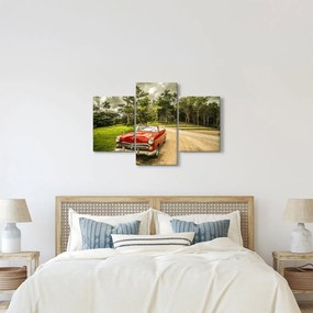 Obraz - auto veterán v prírode (90x60 cm)