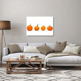 Sklenený obraz dyne (70x50 cm)