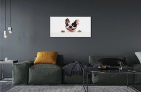 Sklenený obraz pes 125x50 cm