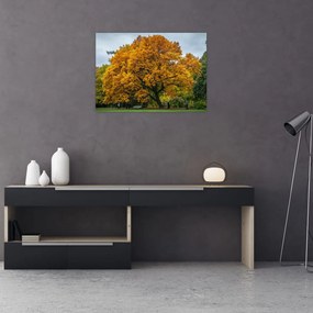 Sklenený obraz stromu (70x50 cm)