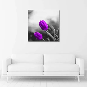 Gario Obraz na plátne Dva fialové tulipány Rozmery: 40 x 40 cm