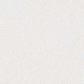 Dlažba Rako Betonico Outdoor bielosivá 60x60 cm mat DAR66790.1, (bal. 0,720 m2 )