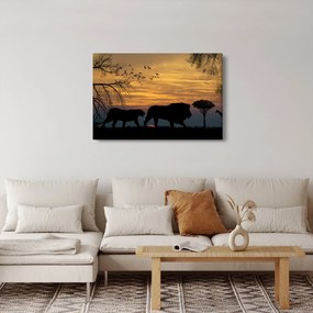 Obraz Safari (90x60 cm)
