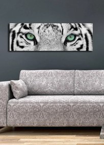 Obraz s led osvetlením White Tiger 90x30 cm