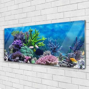 Obraz plexi Akvárium rybičky pod vodou 125x50 cm