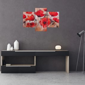 Obraz - Vlčie maky (90x60 cm)