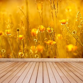 Fototapeta Vliesová Lúčne kvety 416x254 cm