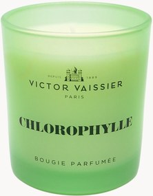 Vonná sviečka Chlorophylle (Tulip, Vetiver & Freesia)