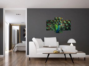 Obraz – Páv (90x60 cm)