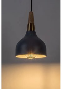 Rabalux 72135 - Luster na lanku DRUSILLA 1xE27/40W/230V