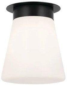 Kichler KL-ALBERS-F-T-BK-Stropné svietidlo ALBERS 1xE27/40W/230V pr.21,6cm čierna