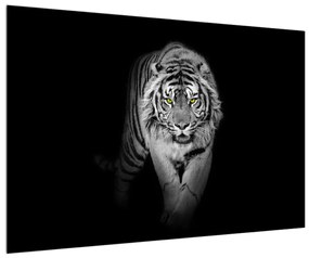Čiernobiely obraz tigra (90x60 cm)