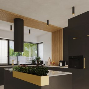 Stropné svietidlo Nero, 1x čierne kovové tienidlo, (22,5 cm), g