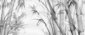 Obraz - Bambusový les (120x50 cm)