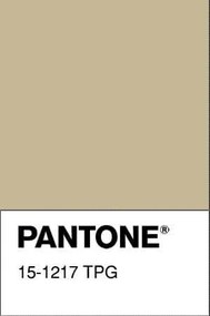 Obliečka na vankúš ALISA Kenya 40x40 cm - béžová