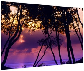 Obraz - Stromy pri západe slnka (90x60 cm)