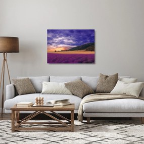 Sklenený obraz levanduľovej lúky (70x50 cm)