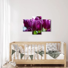 Obraz tulipánov (90x60 cm)