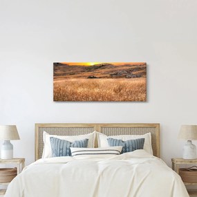 Obraz pole (120x50 cm)