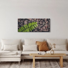 Obraz zelenej rastliny (120x50 cm)