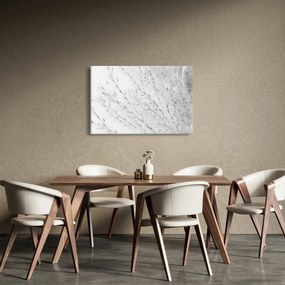 Obraz - Pampas grass N⁰2 (90x60 cm)