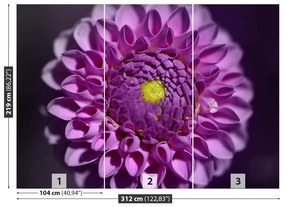 Fototapeta Vliesová Dahlia ružová 208x146 cm