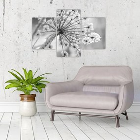 Obraz - Kvetina v zime (90x60 cm)