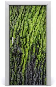 Fototapeta samolepiace kôra stromu 85x205 cm