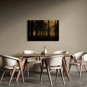 Obraz - Temný les (90x60 cm)