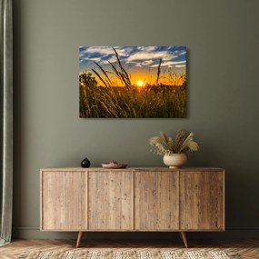 Obraz pole pri západe slnka (90x60 cm)