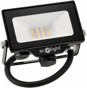 ECOLIGHT LED reflektor 10W 2v1 - studená biela + čidlo pohybu