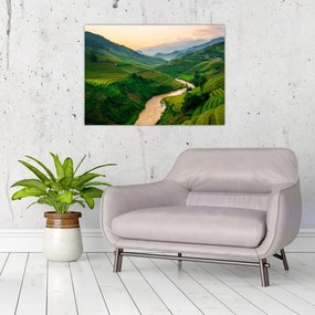 Obraz - Ryžové terasy II. (70x50 cm)