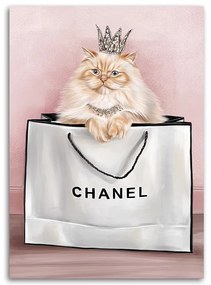 Gario Obraz na plátne Mačka v taške Chanel Rozmery: 60 x 90 cm