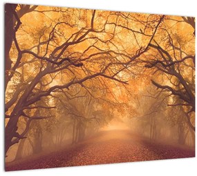 Sklenený obraz cesty v jesennej krajine (70x50 cm)