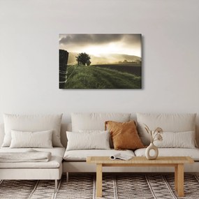 Obraz lúky (90x60 cm)