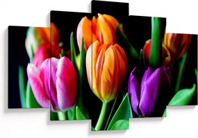 Obraz tulipánov na čiernom pozadí (150x105 cm)