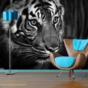 Sablio Tapeta Čiernobiely tiger - 125x75 cm
