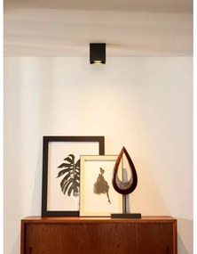 Lucide 09101/01/30 - Bodové svietidlo BODI 1xGU10/50W/230V