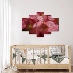 Obraz - Makro snímka lístka (150x105 cm)