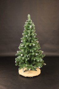 Vianočný stromček- Borovica so snehom 155cm