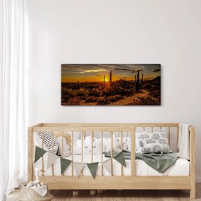 Obraz - Koniec dňa v arizonskej púšti (120x50 cm)