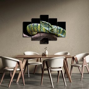 Obraz - Štrkáč Waglerov (150x105 cm)