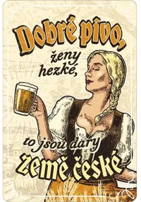 Ceduľa BU20046 20x30 cm Pivo