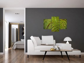 Obraz - Papraď (90x60 cm)