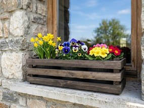 AMADEA Drevený obal s kvetináči - tmavý, 47x17x15cm Český výrobok