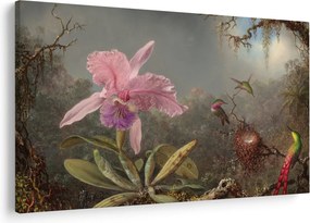 Obraz - Martin Johnson Heade, Cattleya Orchid and Three Hummingbirds, reprodukcia (90x60 cm)