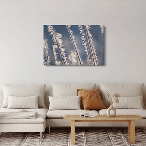 Obraz - Mrazík (90x60 cm)